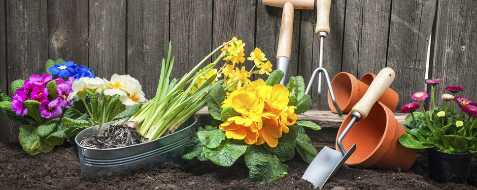 Spring Gardening Tips | Genesis Land Development Corp.